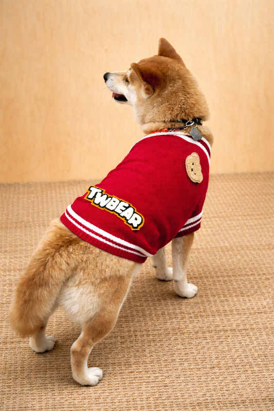 Shiba Inu con maglioncino rosso invernale TwBear con dettaglio orsetto