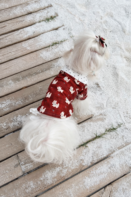 Camicia per cane elegante Amore Rosso Pavora Pet
