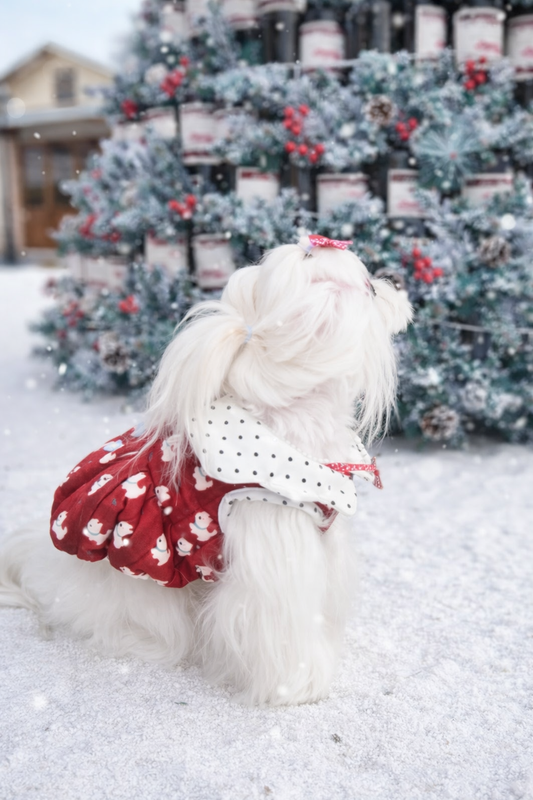 Gonna per cane Signature Teddy Pavora Pet