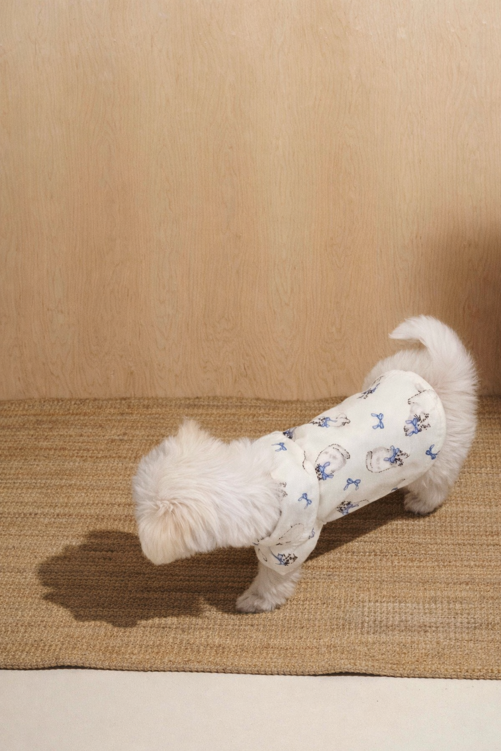 Camicia per cane leggera Dolce Fiocco azzurra con stampa decorativa