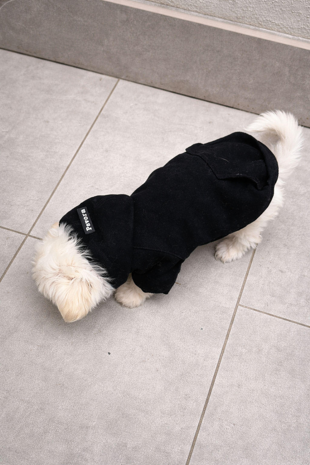 Cane piccolo con felpa con cappuccio nera Urban Noir