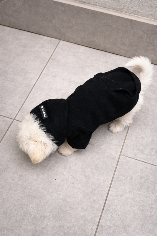 Cane piccolo con felpa con cappuccio nera Urban Noir