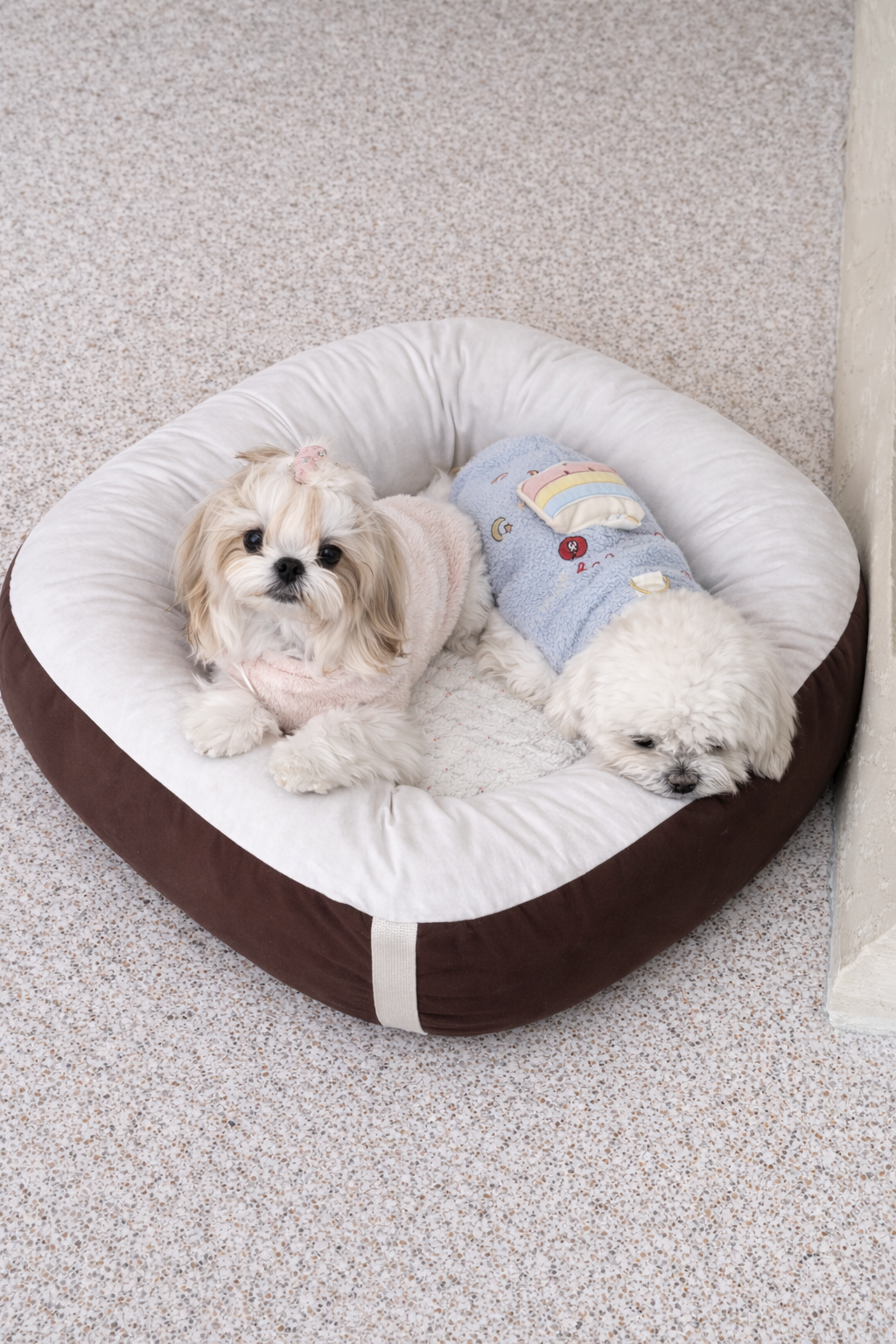 Cuccia per cane design moderno Cozy Nest Marrone Pavora Pet con struttura rotonda imbottita e interno beige, stile elegante per ambienti contemporanei