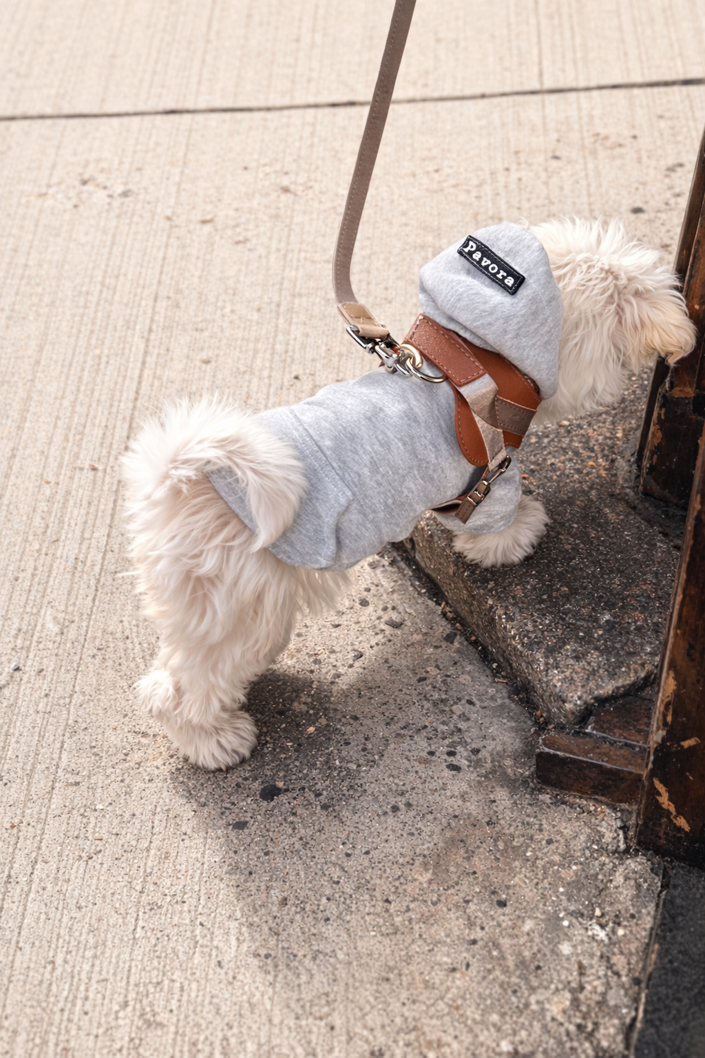 Interno caldo e felpato della felpa per cane Cozy Cloud di Pavora Pet