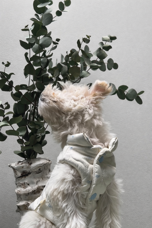Gilet imbottito per cane Nuvola Bianco, caldo e confortevole