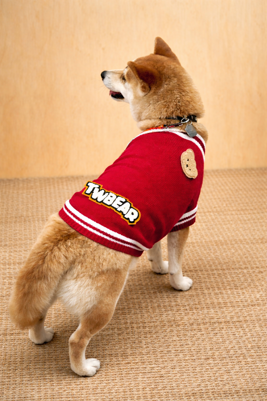 Shiba Inu con maglioncino rosso invernale TwBear con dettaglio orsetto