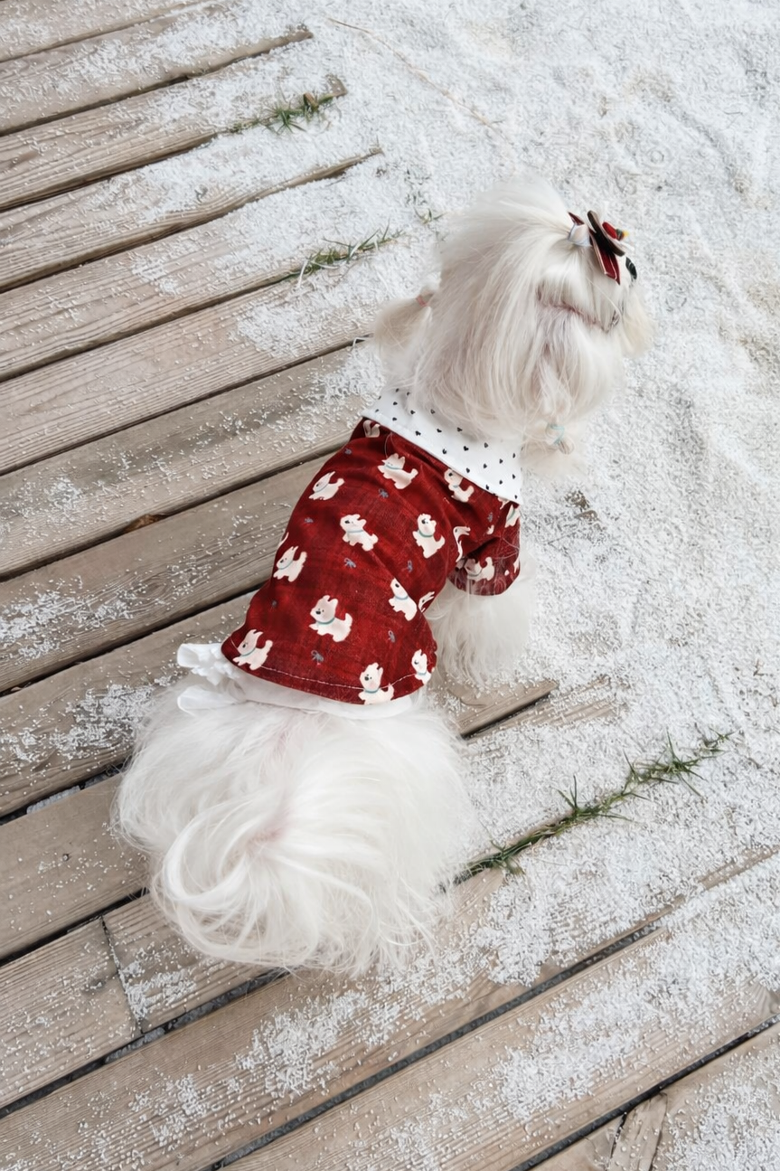 Camicia per cane elegante Amore Rosso Pavora Pet
