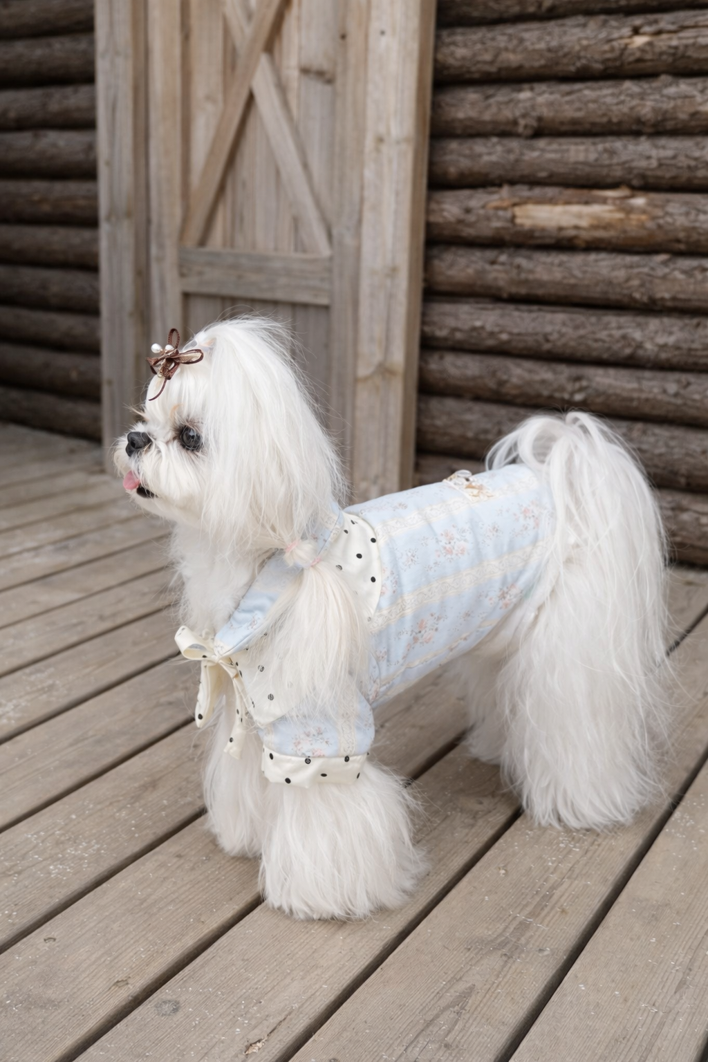 Cappotto per cane invernale Fiore d’Inverno Pavora Pet