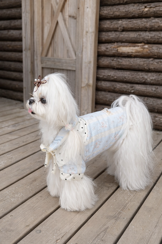 Cappotto per cane invernale Fiore d’Inverno Pavora Pet