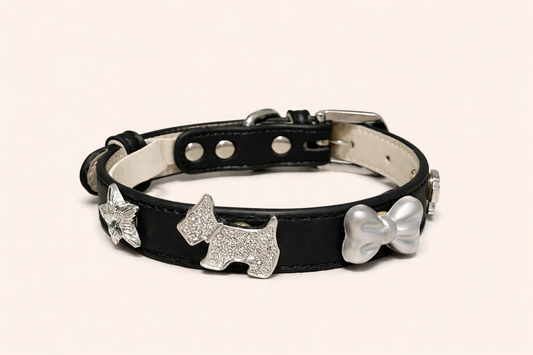 Collare per cane elegante Royal Nero con stelle Pavora Pet
