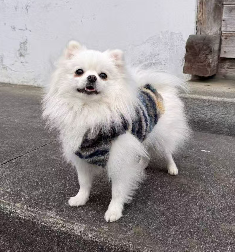 Gilet per cane invernale Morbido Nuvola Pavora Pet