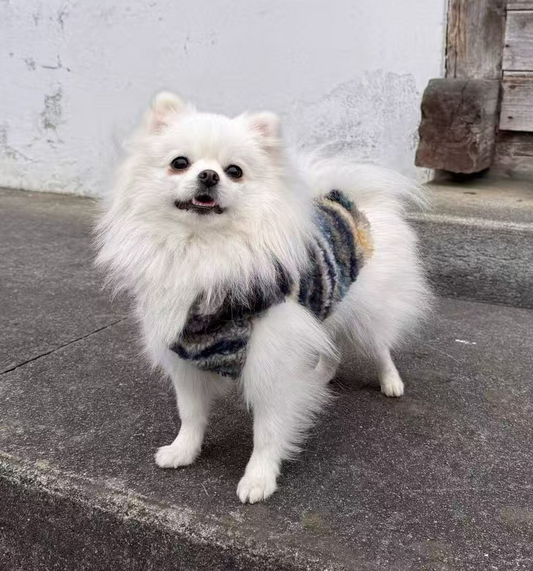 Gilet per cane invernale Morbido Nuvola Pavora Pet