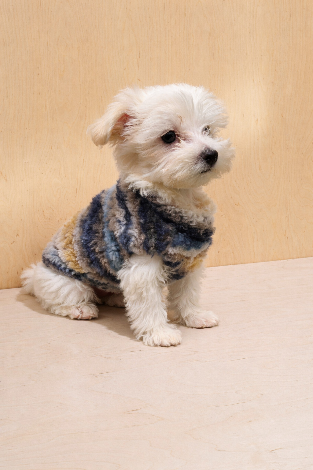 Gilet per cane invernale Morbido Nuvola Pavora Pet