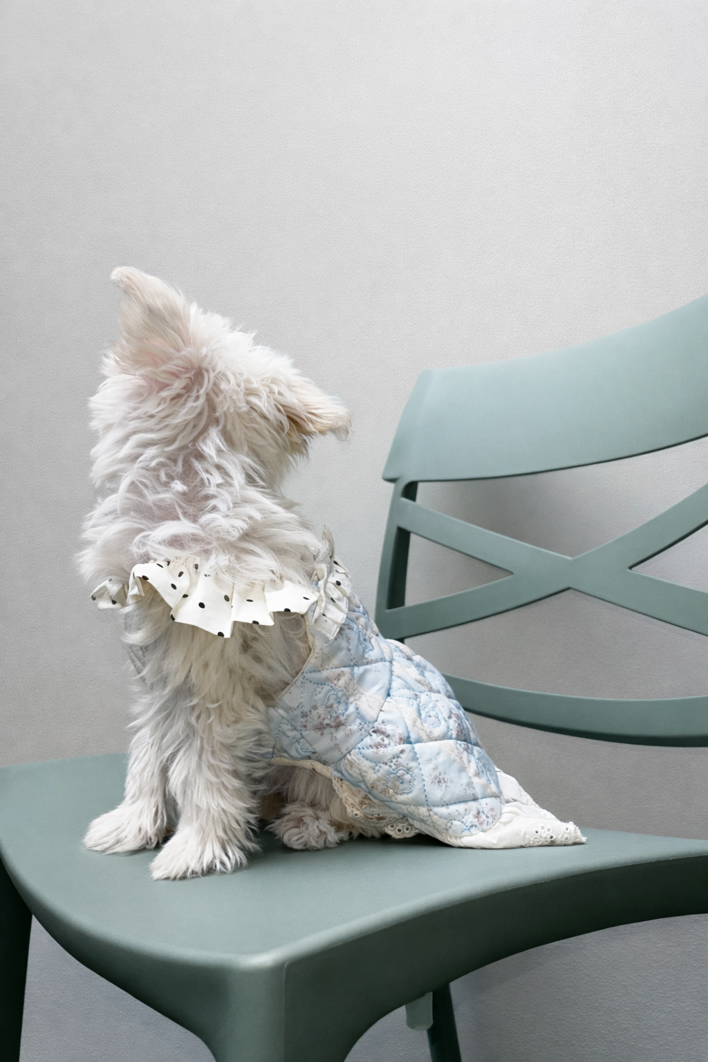 Gonna per cane elegante Fiori d’Inverno Pavora Pet