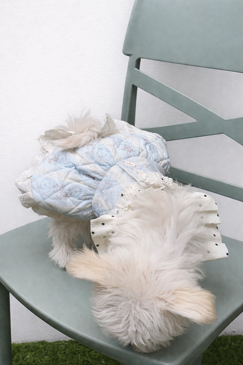 Gonna per cane elegante Fiori d’Inverno Pavora Pet dettaglio