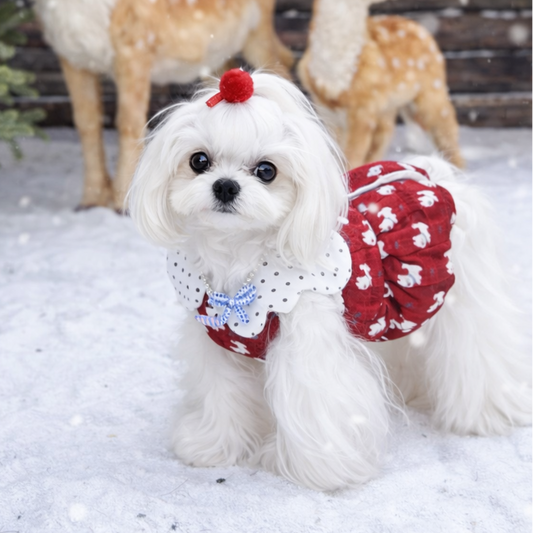 Gonna per cane Signature Teddy Pavora Pet
