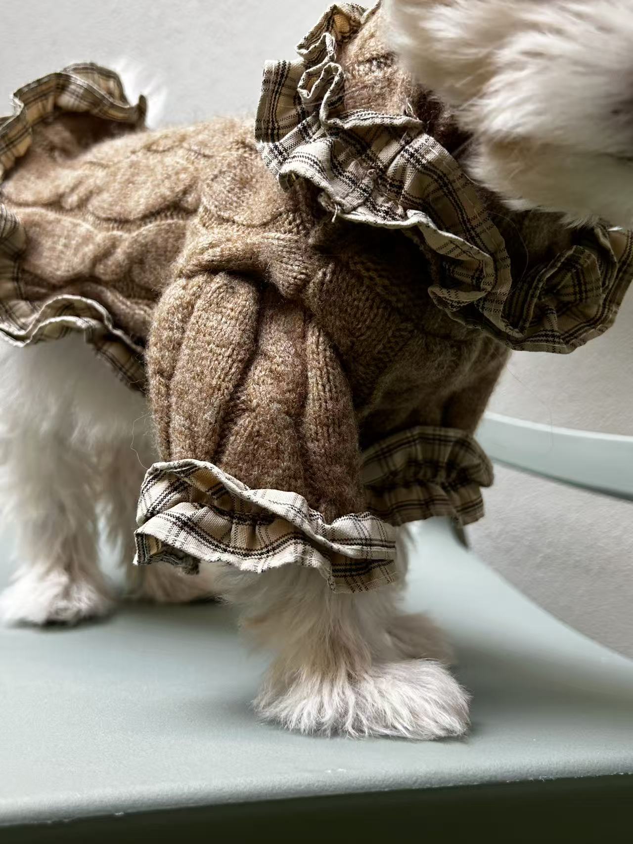 Maglioncino per cane invernale Cottage Chic Pavora Pet