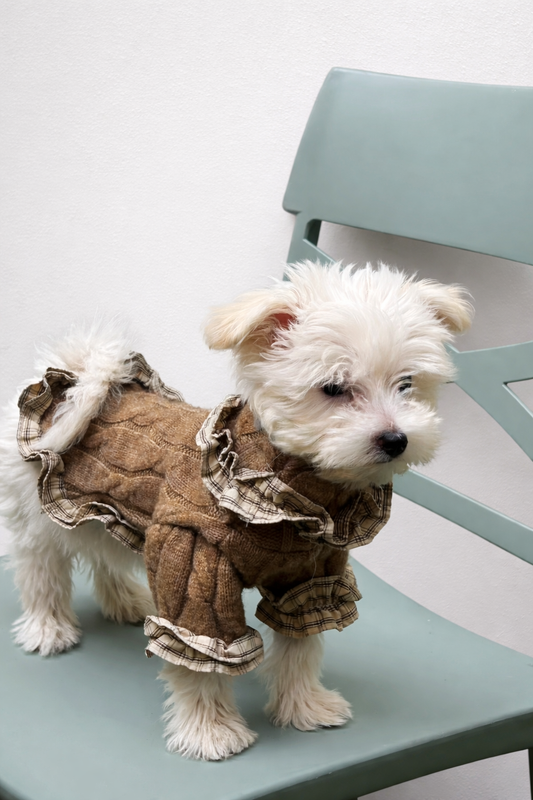 Maglioncino per cane invernale Cottage Chic